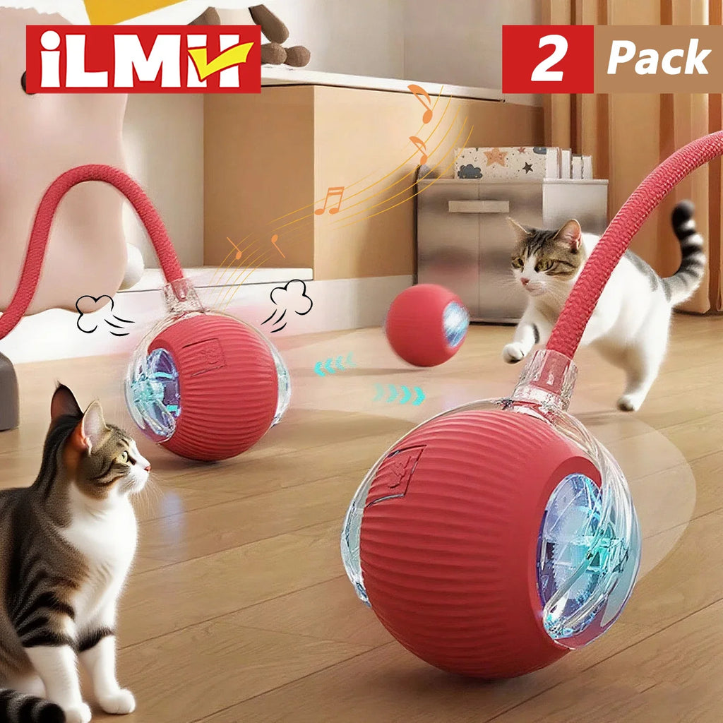Rechargeable Smart Pet Toy