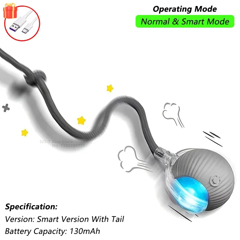 Rechargeable Smart Pet Toy