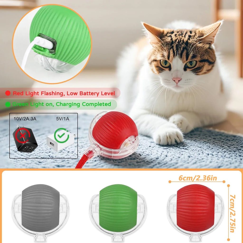 Rechargeable Smart Pet Toy