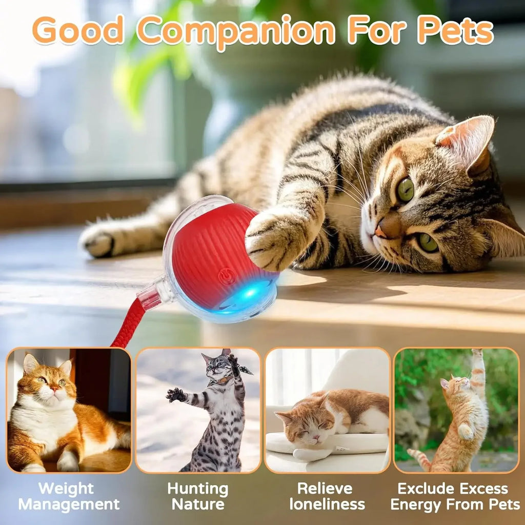 Rechargeable Smart Pet Toy