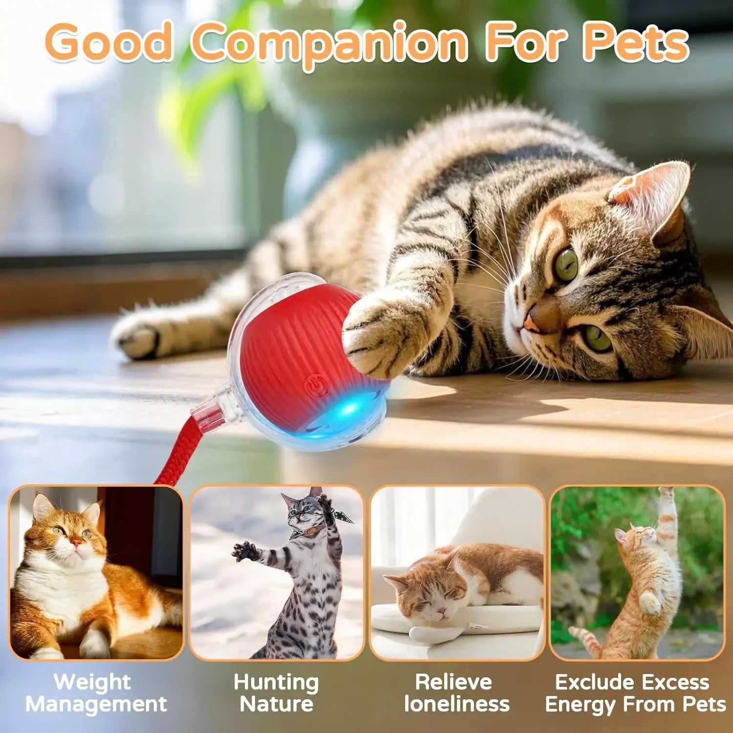 Rechargeable Smart Pet Toy