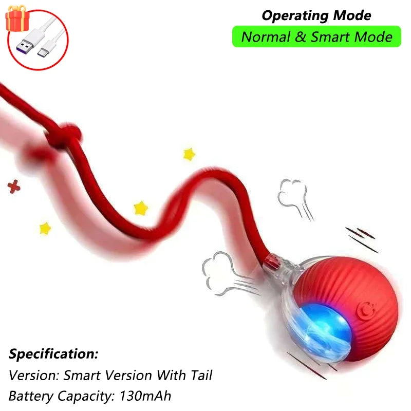 Rechargeable Smart Pet Toy
