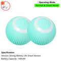 Rechargeable Smart Pet Toy